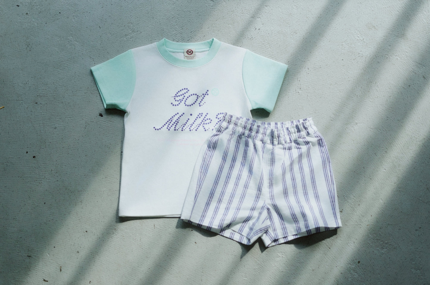 got milk? setup